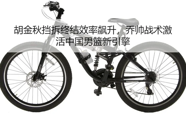 hu-jin-qiu-dang-chai-zhong-jie-xiao-lv-biao-sheng-qiao-shuai-zhan-shu-ji-huo-zhong-guo-nan-lan-xin-yin-qing-2-146.jpg
